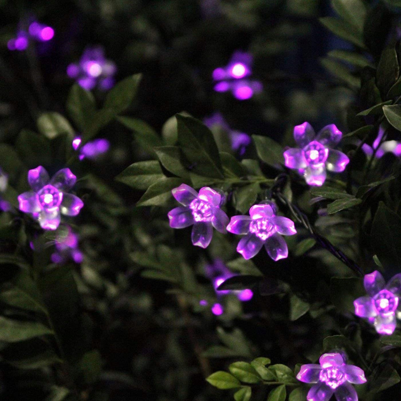 Lampki Solarne Kwiatowe Wodoodporne Ogrodowe Fioletowe 7M 50 LED KINGCOO — miniatura 3