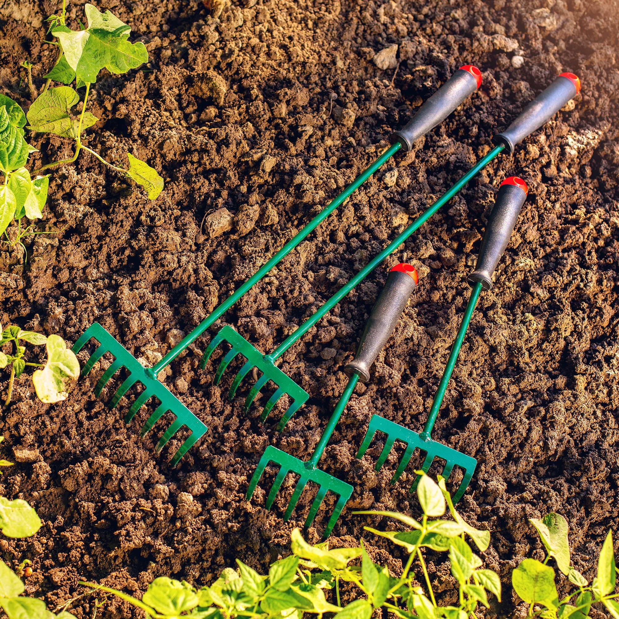 GRABIE OGRODOWE GRABKI MAŁE Z TRZONEM 30CM 6-ZĘBNE Długość narzędzia 30 cm