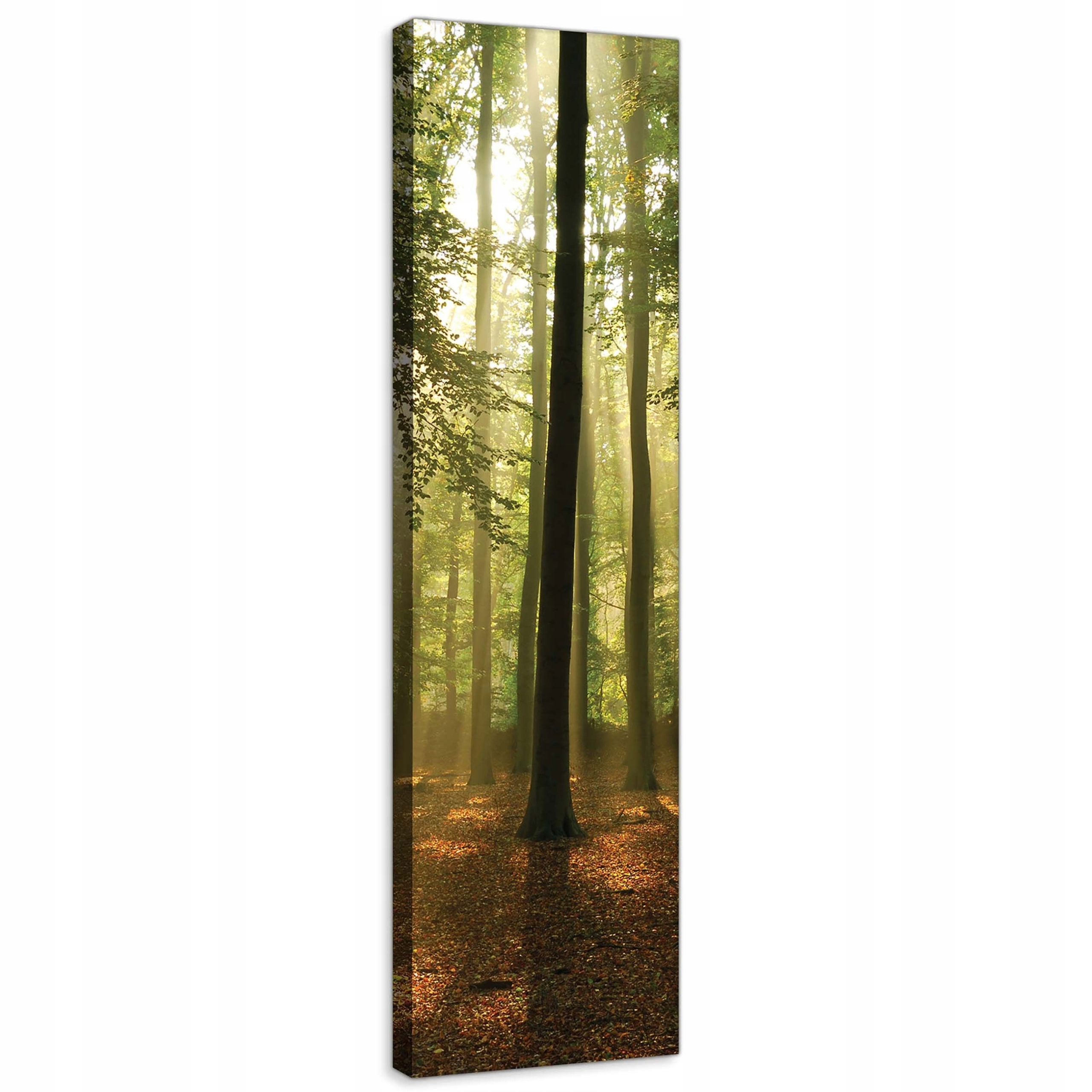 Obraz 45x145 Lesní symfonie světla a stínu v minimalistickém stylu