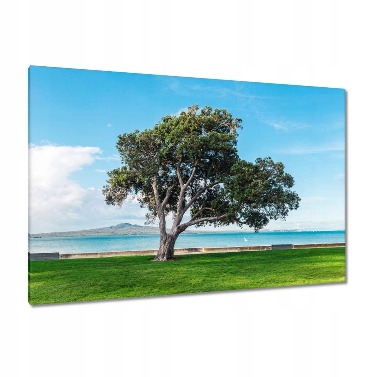 Obrazy 120x80 Nerozbitné