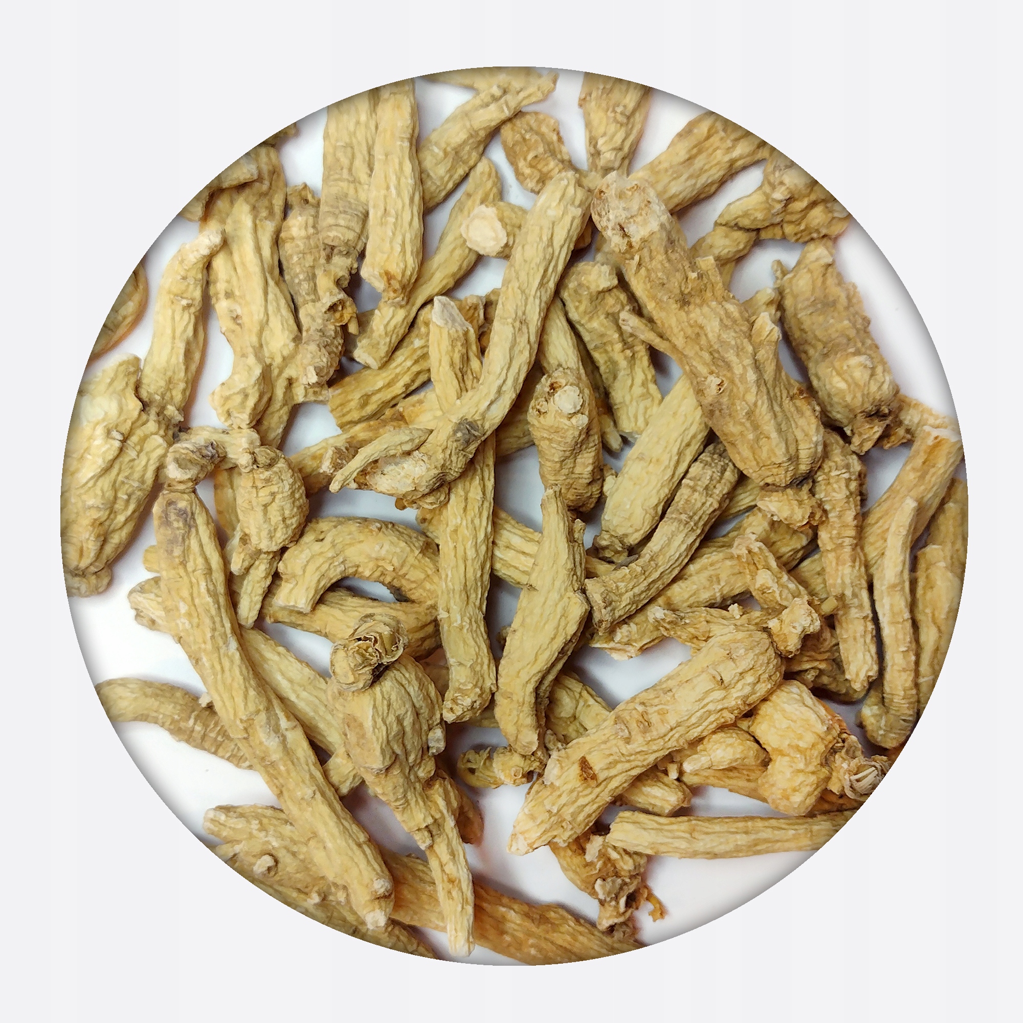 Levně Čínský ženšen panax ginseng 25 g, celý kořen