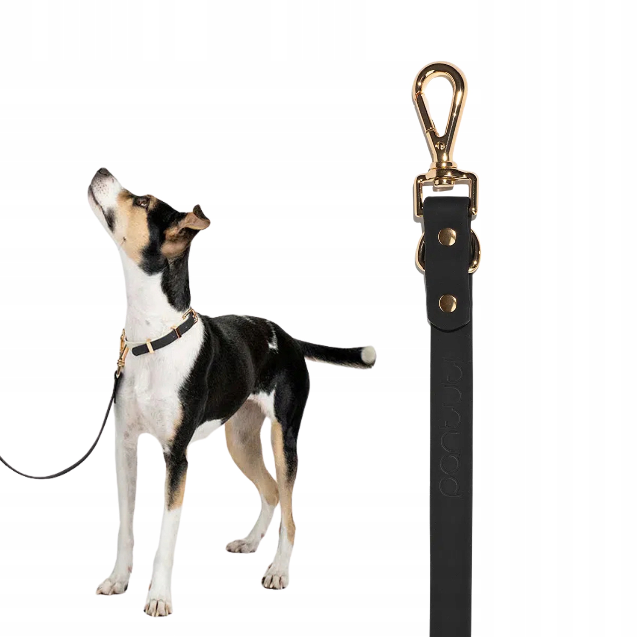 Elegantní prodlužovačka pro přepínací vodítko Faro páska Pvc černá 90 cm M