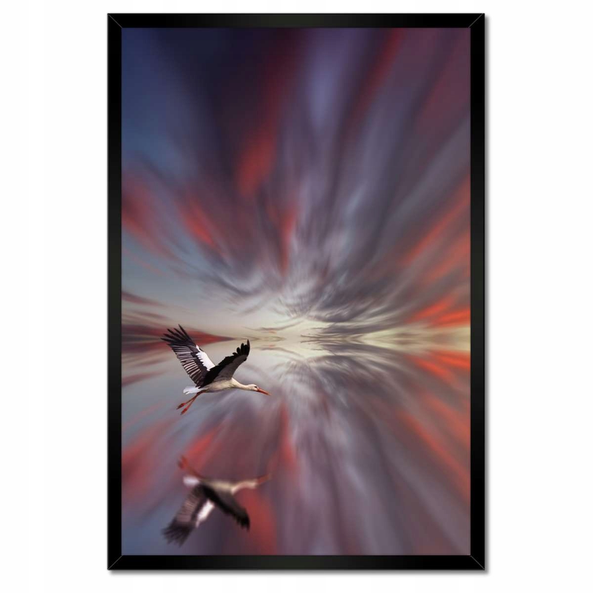 Plakáty v rámu 40x60 Zvířata Zvířátka