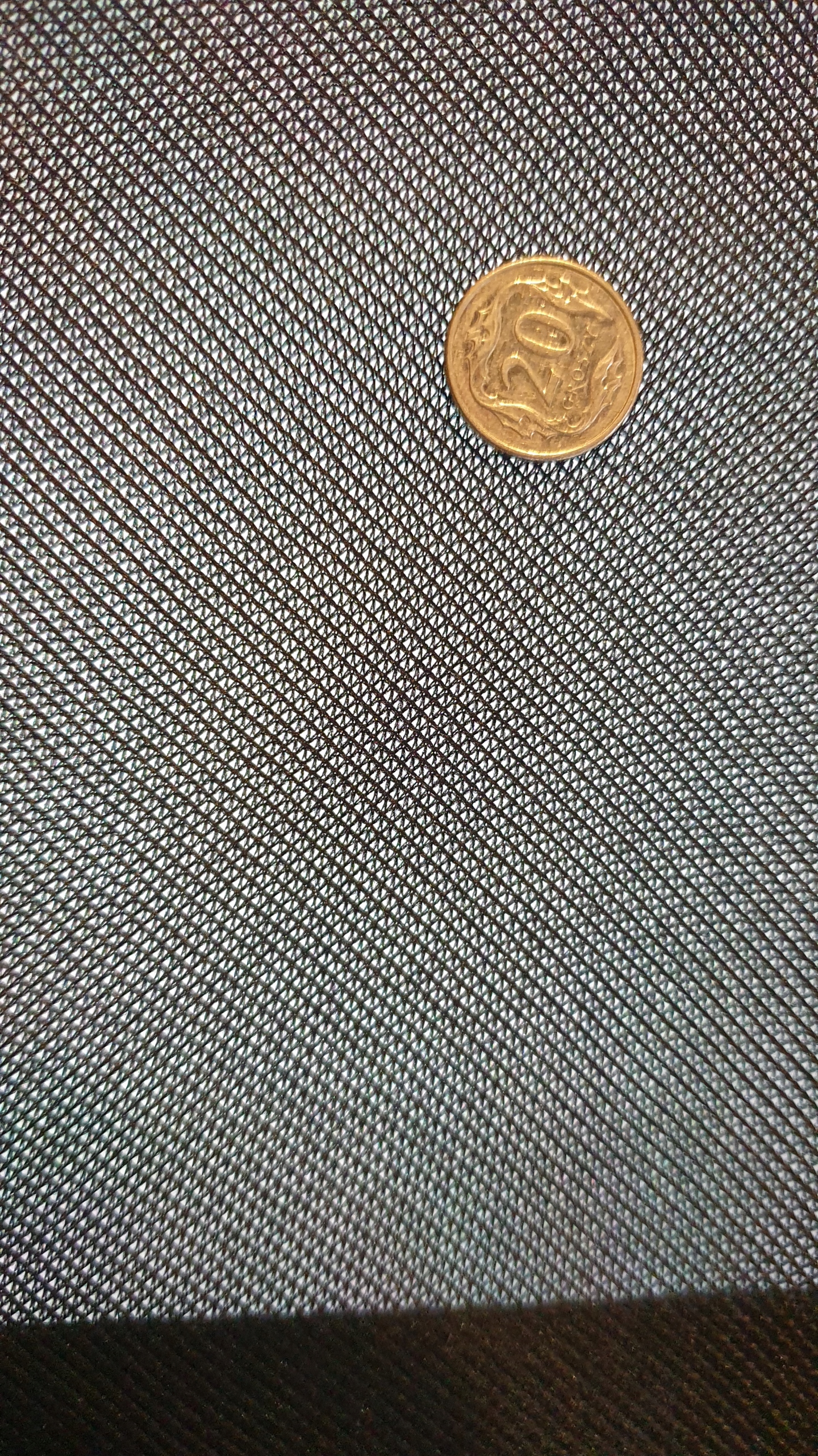 SIATKA KALETNICZA DO WINDSHOT