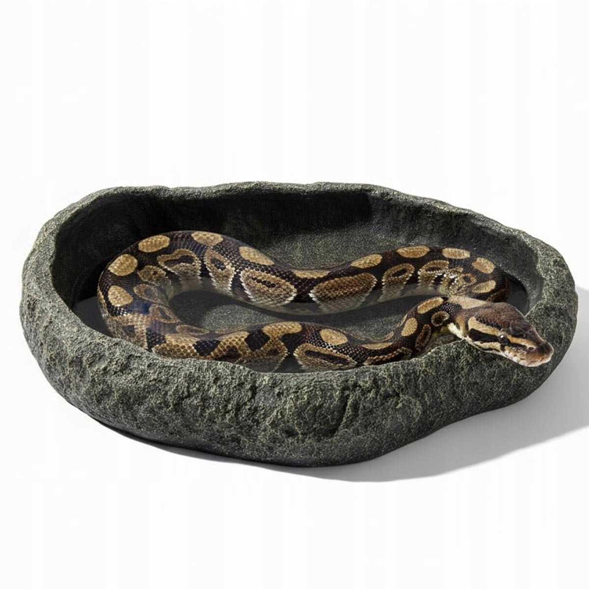 Największy basen miska do terrarium XXL szary granit 40 cm