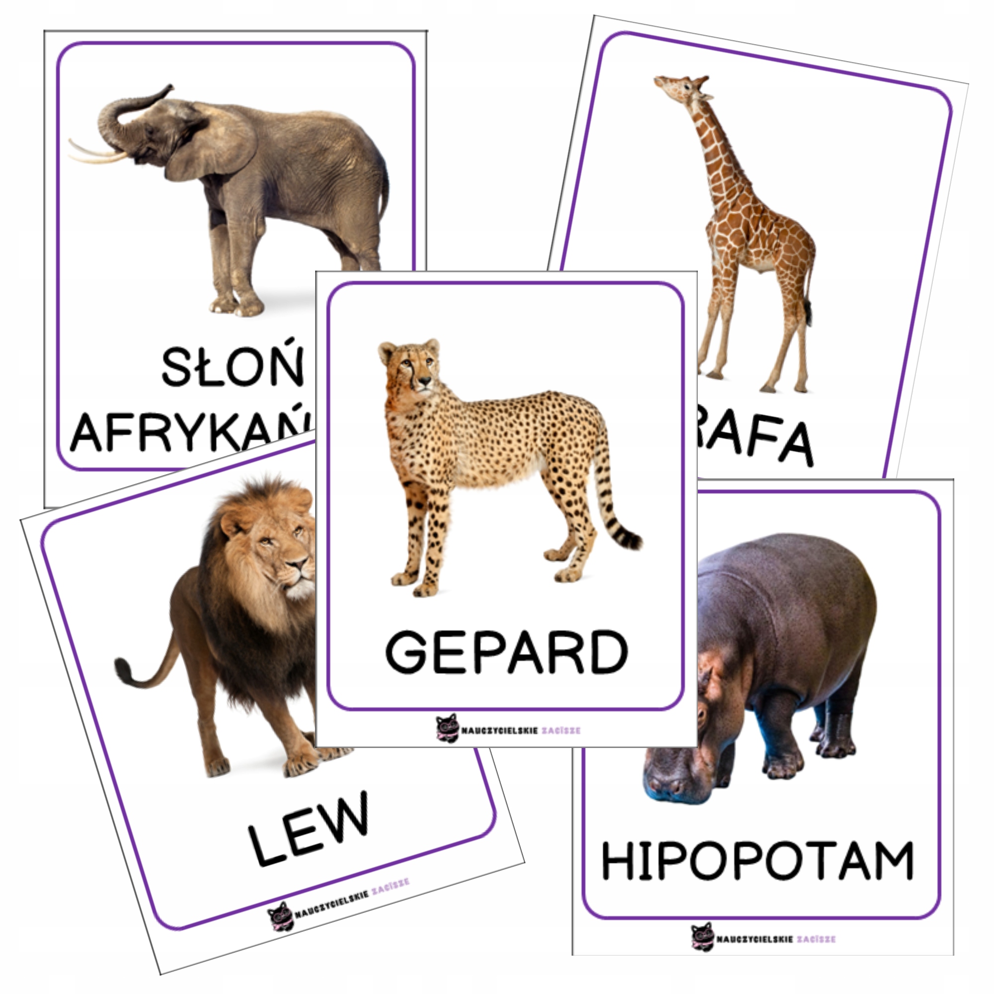 

Zwierzęta Afryki Karty obrazkowe Fiszki 24 szt.