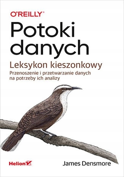 Potoki danych. Leksykon kieszonkowy. Przenoszenie i przetwarzanie danych na