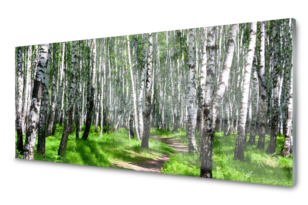 

Panel szklany do kuchni Drzewa Trawa 125x50