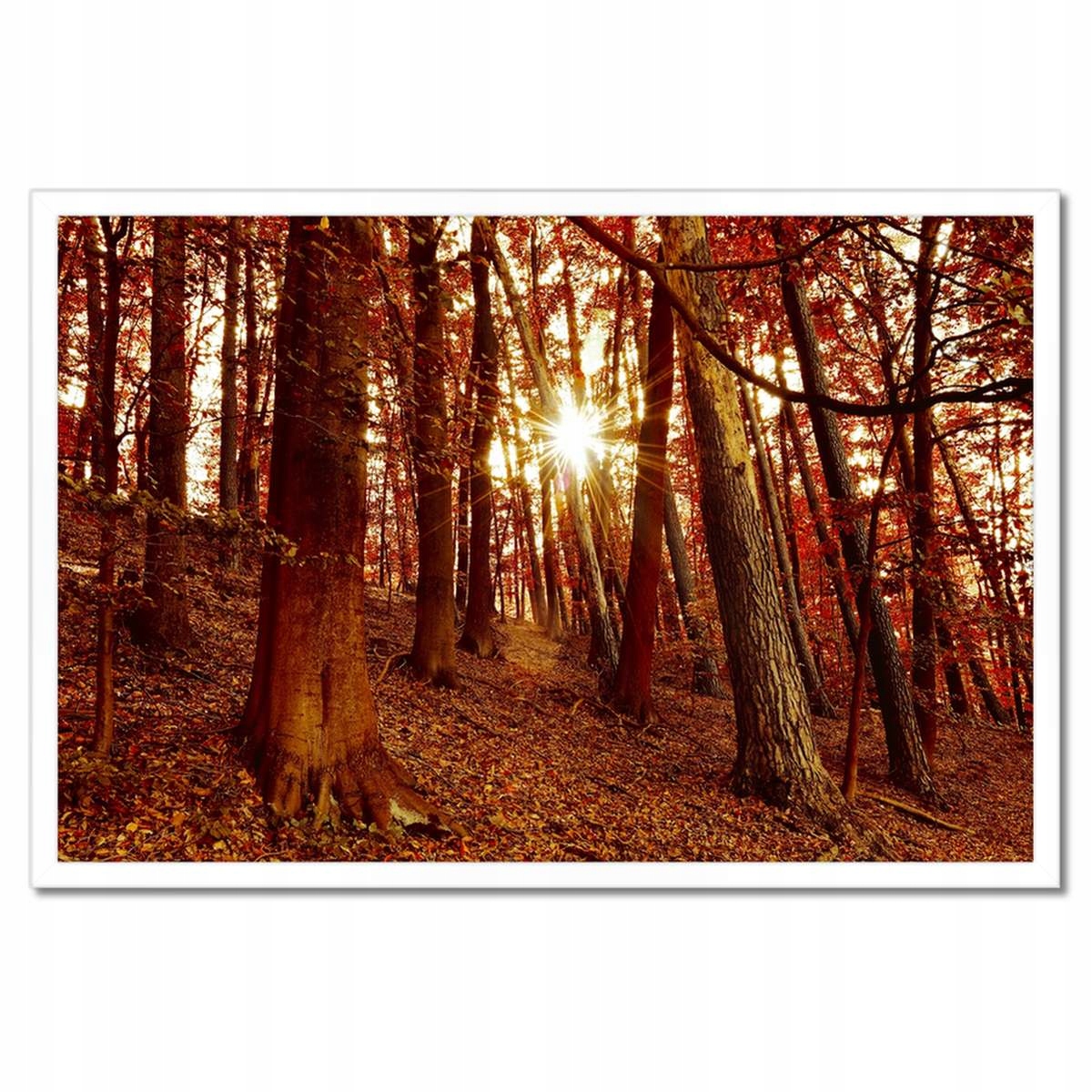 Plakáty v rámu 60x40 Krajina Pohled