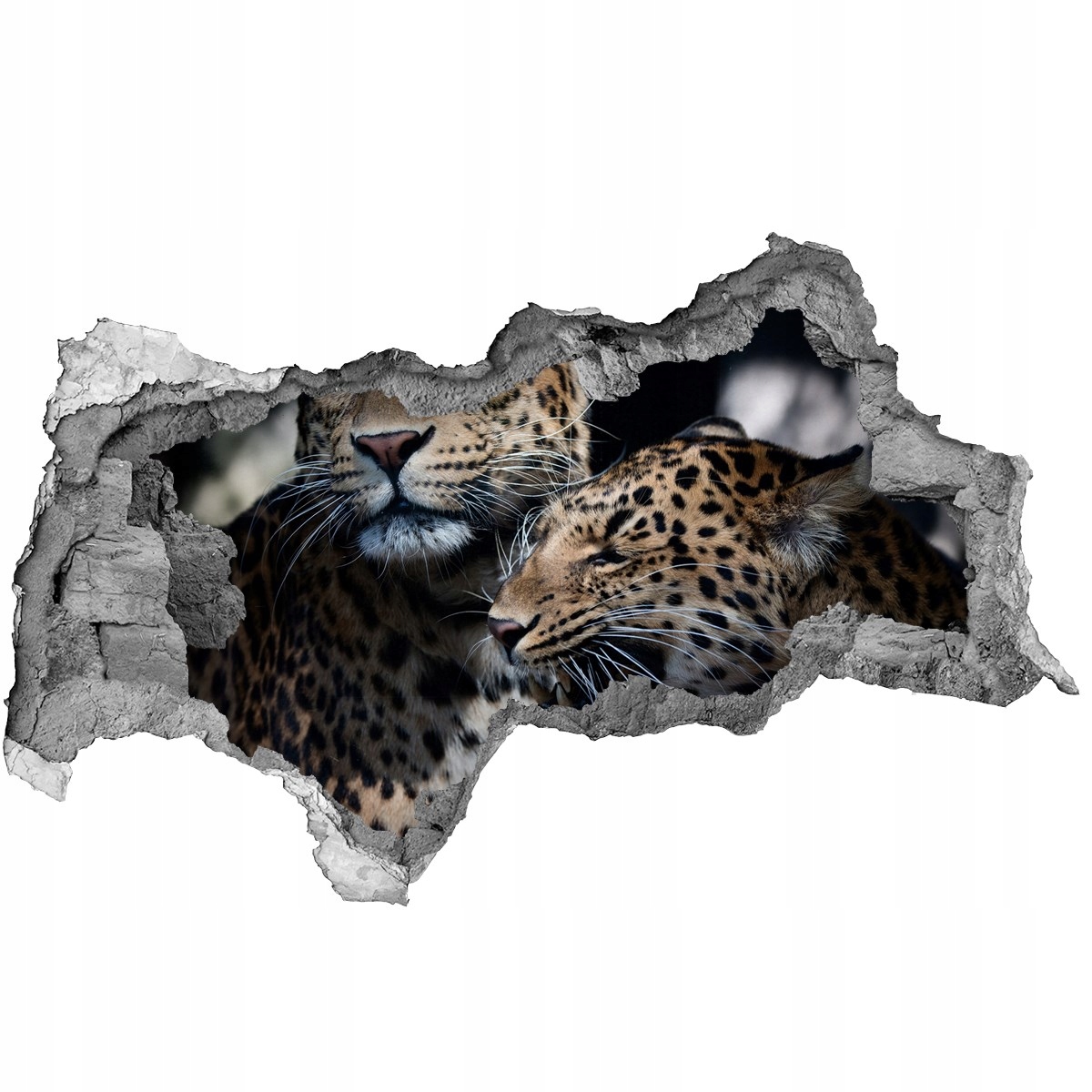 

Dziura 3d fototapeta na ścianę Dwa lamparty 115x88