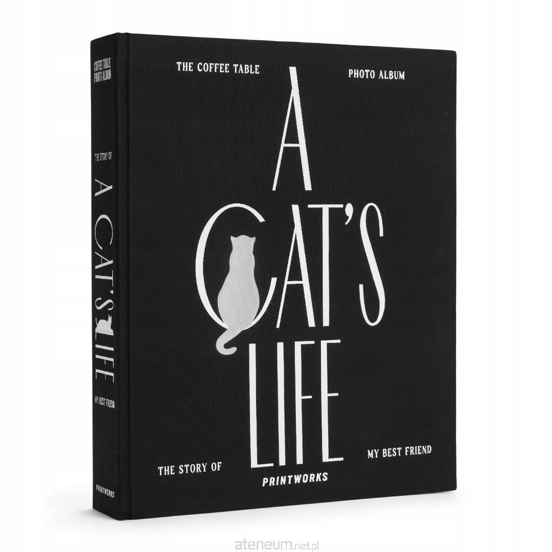 Fotoalbum Kočka – Život kočky