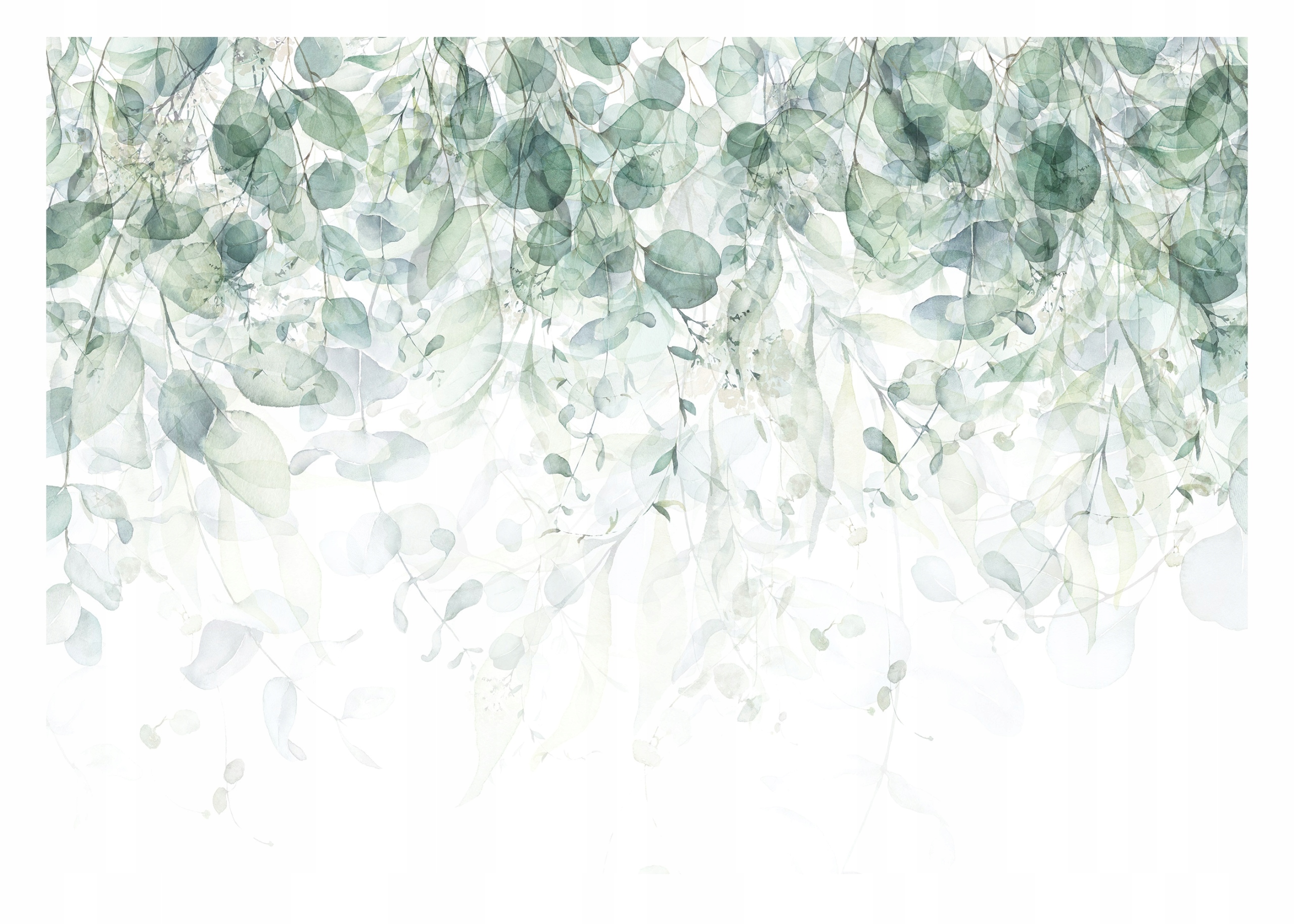 Fototapeta Do Kúpeľne Listy Biela 416x290