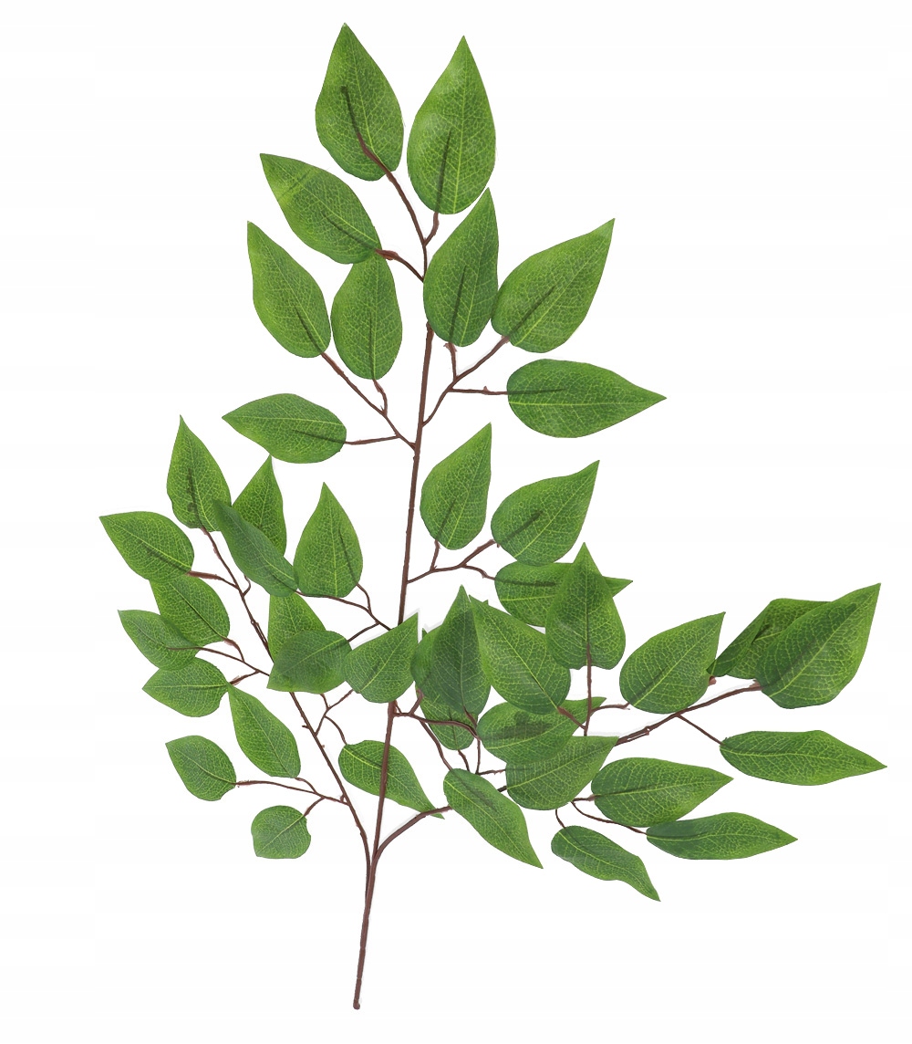 

Fikus gałązka liści zielonych 60cm sztuczna