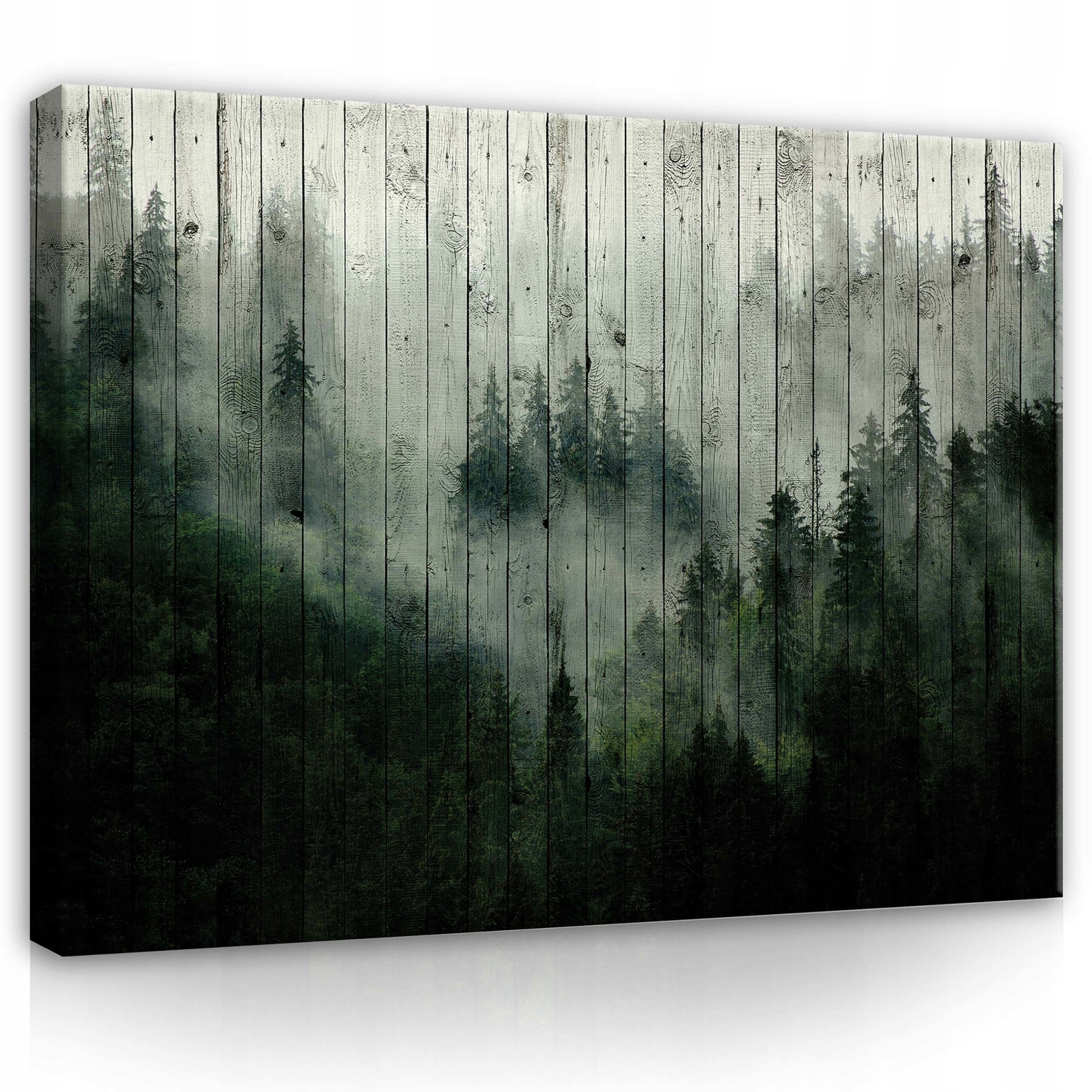 Obraz 80x60 Mlžný les mystika příroda klid hloubka textura stromu