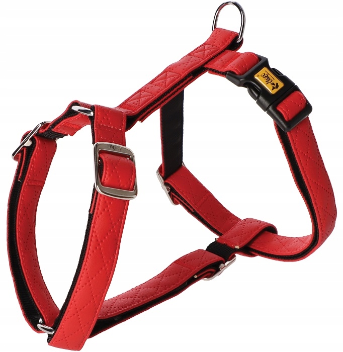 

Dingo Szelki Guard Terra Fire S
