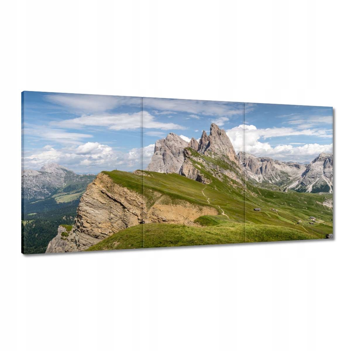 Obrazy 180x90 Ovca v horách Hory Pohľad