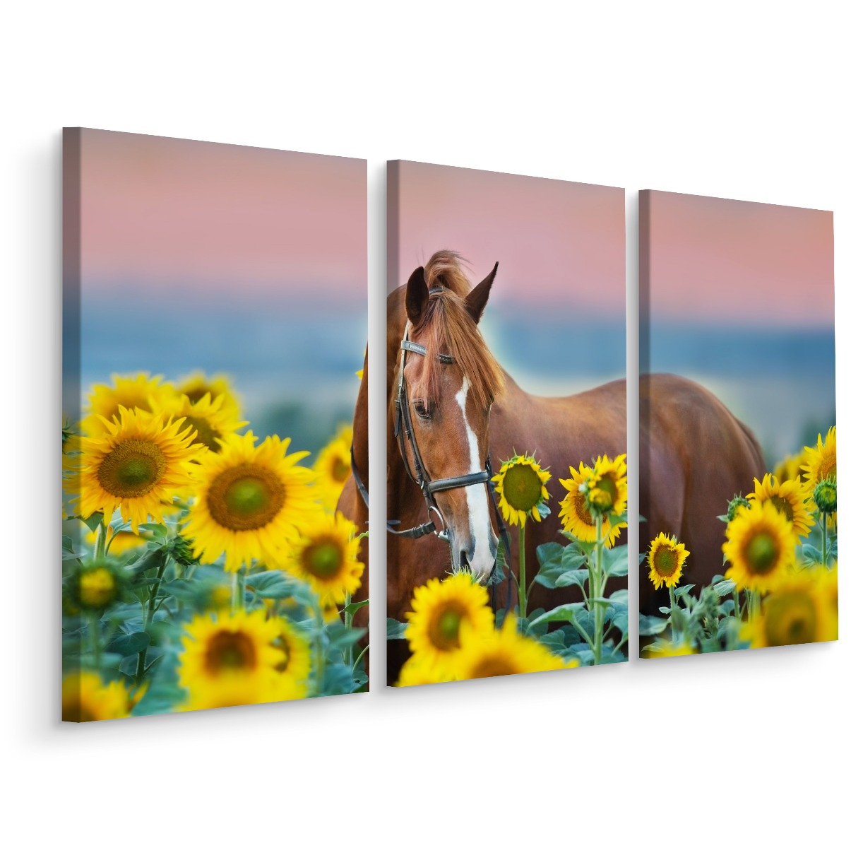 

Obraz Tryptyk Słoneczniki Koń Przyroda 3D 120x80