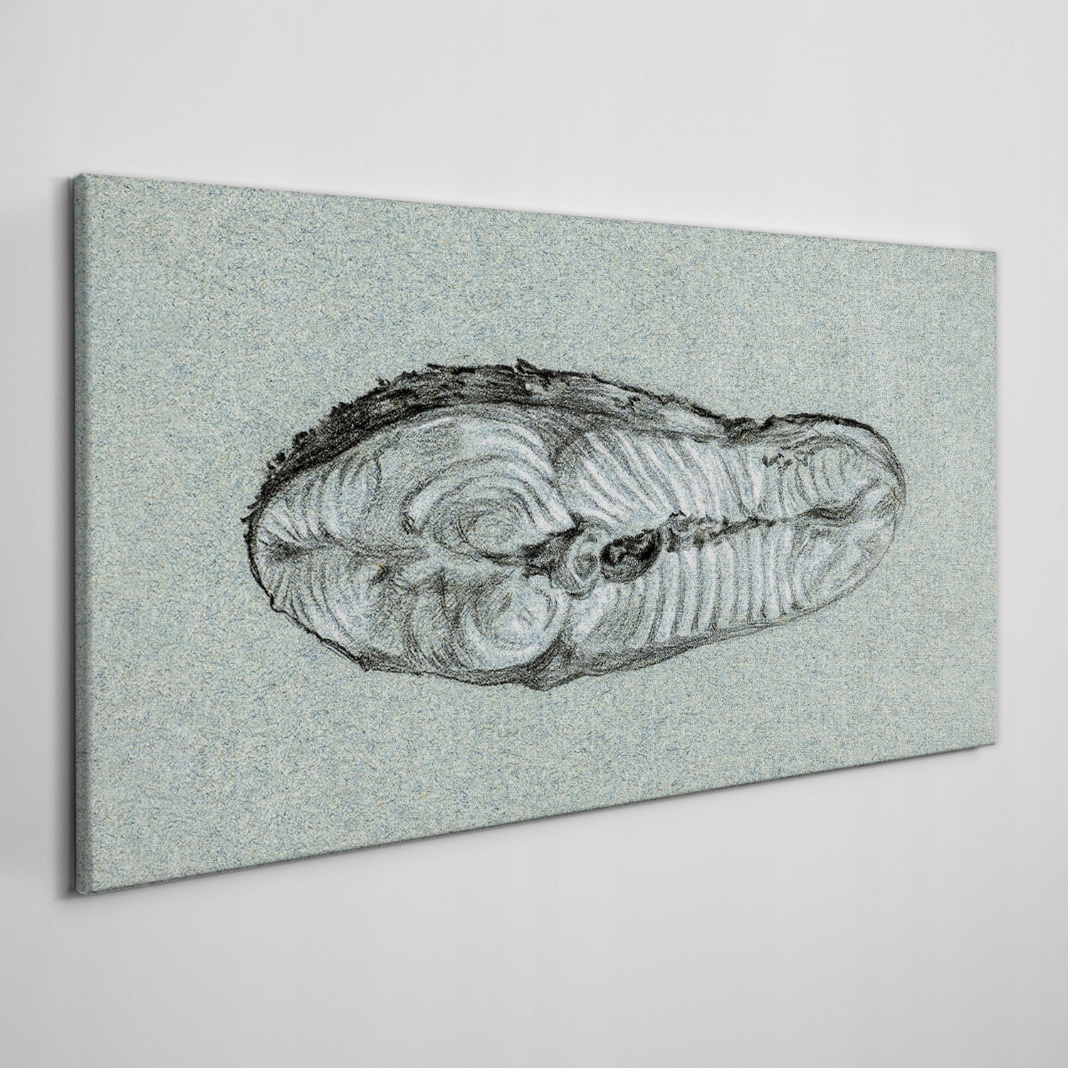 

Obraz na płótnie Naszkicowany Trylobit 140x70 cm