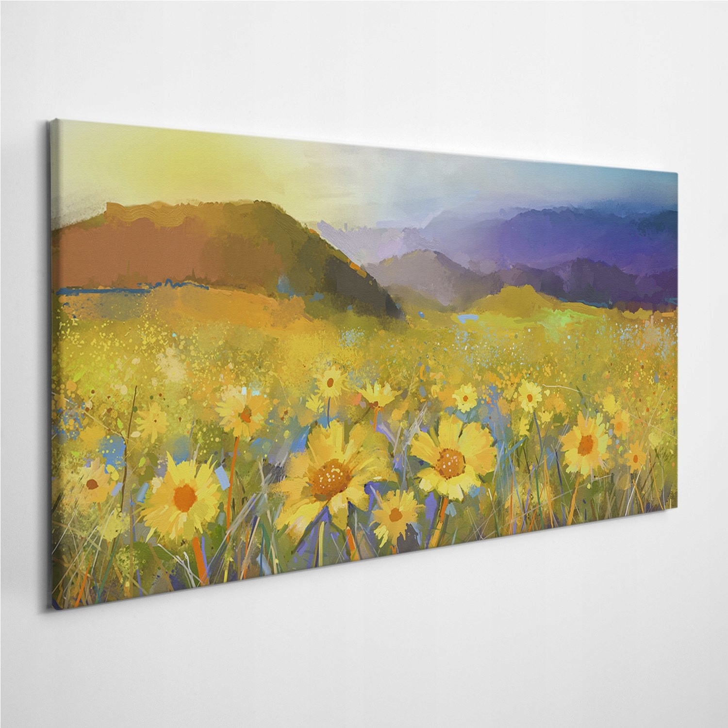 

Obrazy na płótnie Stokrotka Kwiaty Natura 120x60