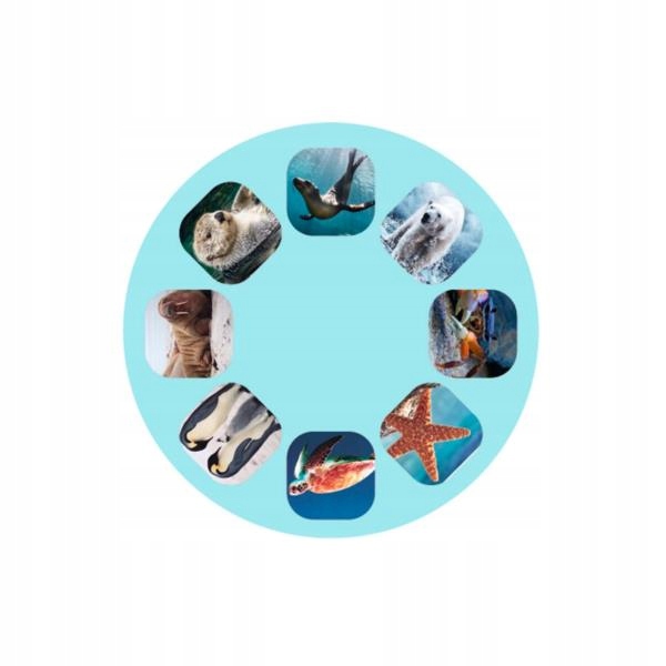 MINI LATARKA 24 OBRAZKI MORSKICH ZWIERZĄT MOSES Marka Moses