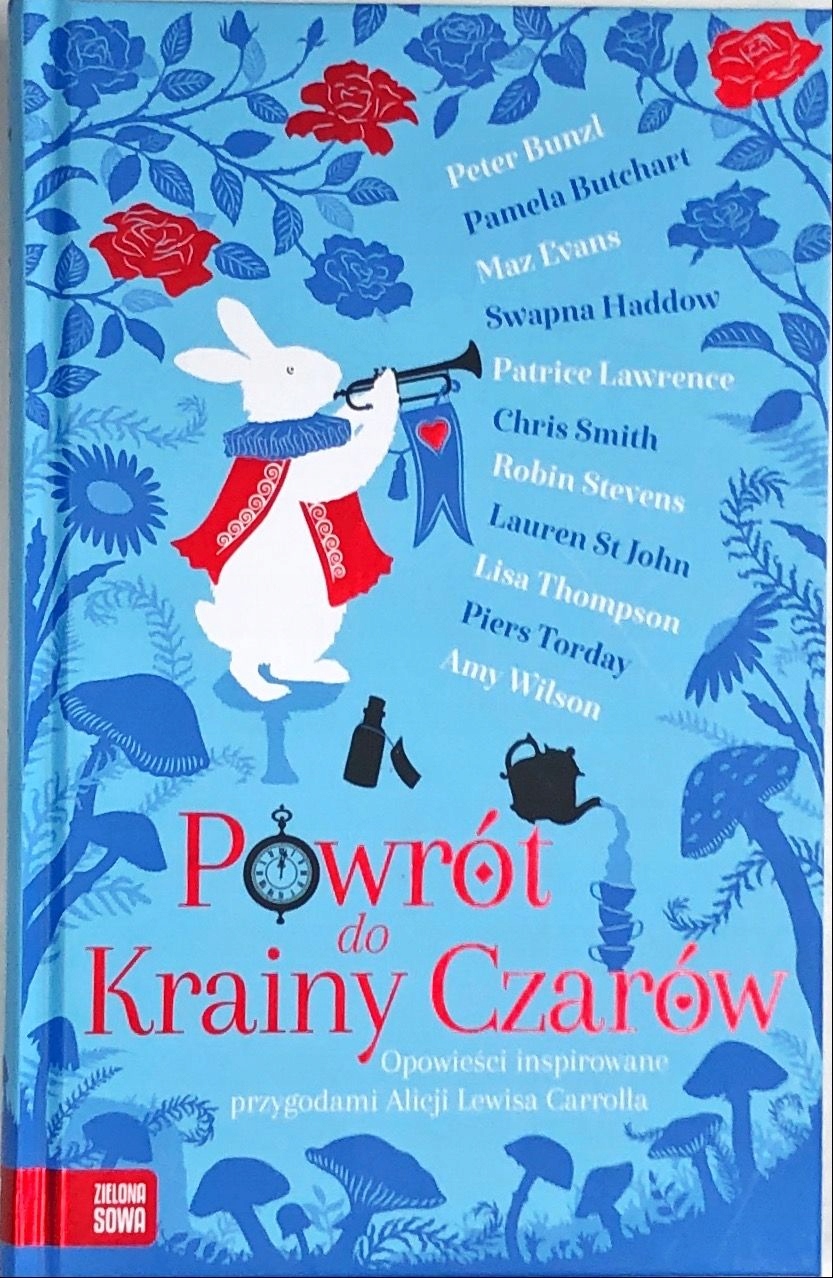 

Powrót do Krainy Czarów Peter Bunzl