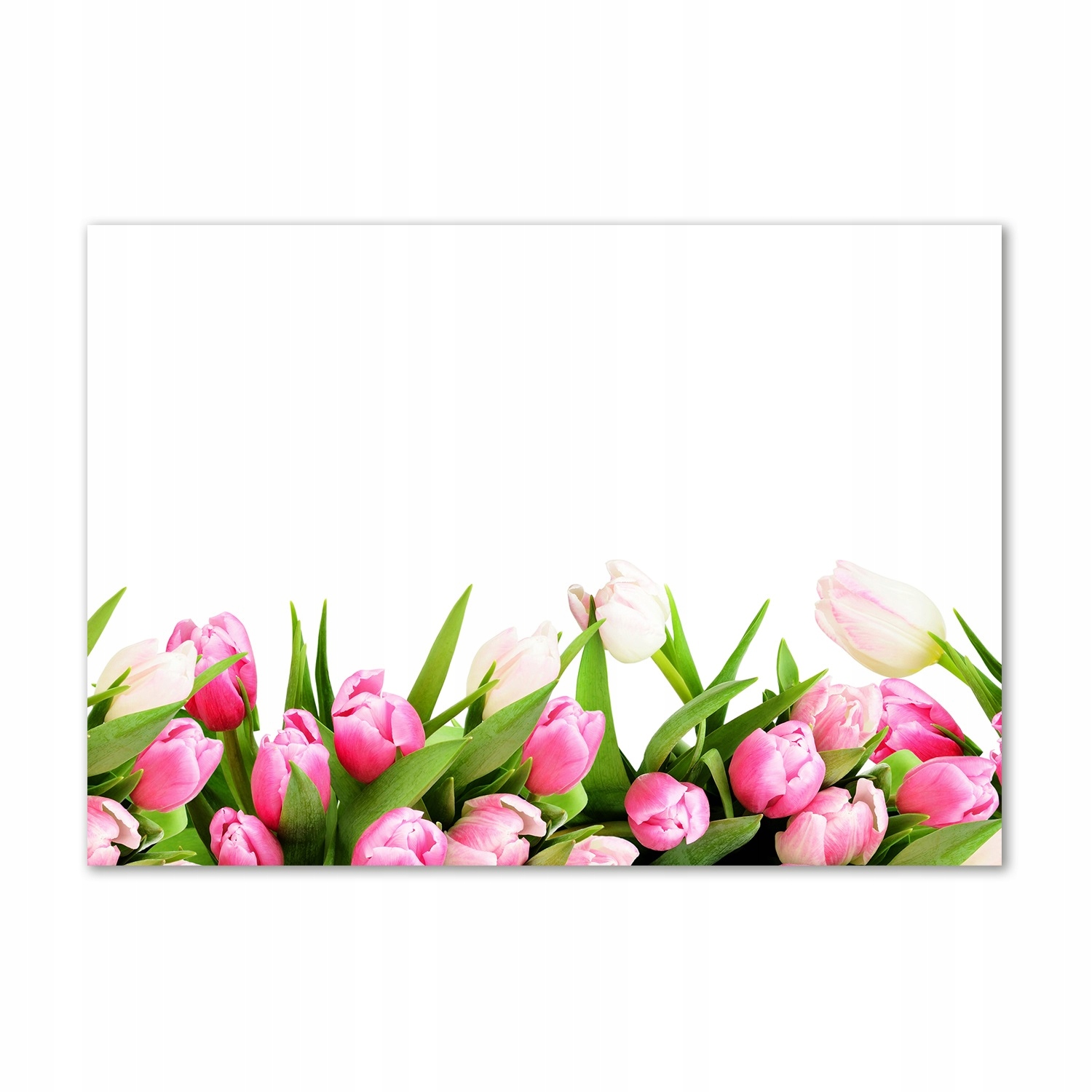 Skleněný fotoobraz na zeď Růžové tulipány 100x70