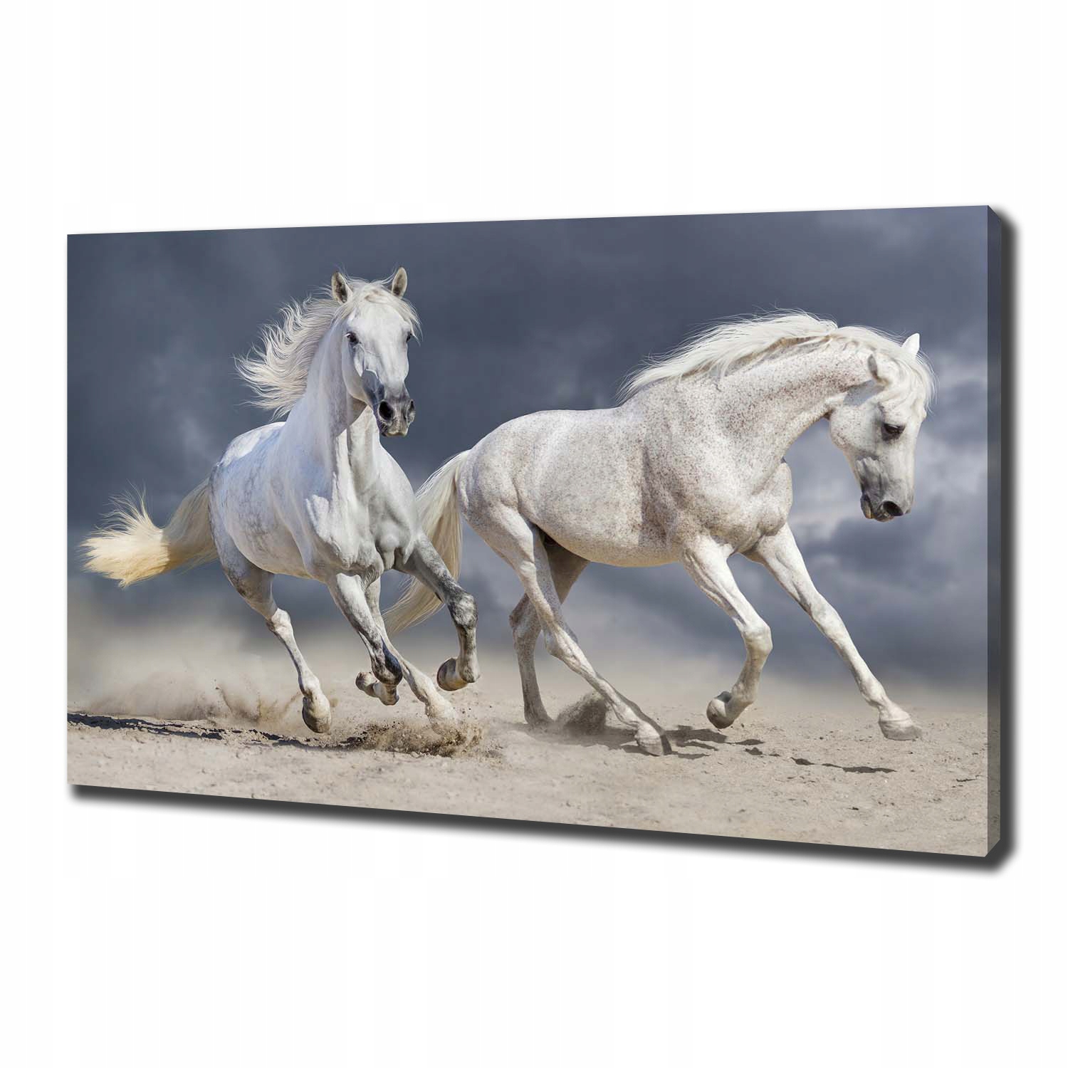 

Obraz canvas do salonu Białe konie plaża 100x70 cm