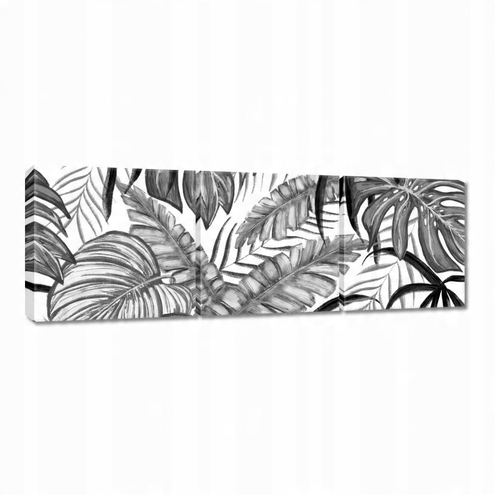 

Obrazy 60x20 Monstera Zielony liść