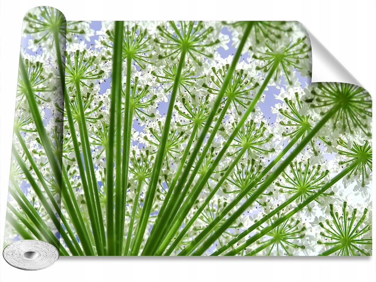 

Tapeta Samoprzylepna MagicStick Barszcz 416x254