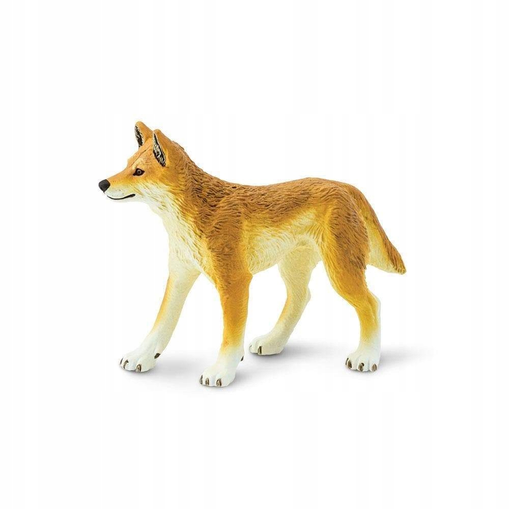 

Dingo Australijski Safari Ltd. 228229