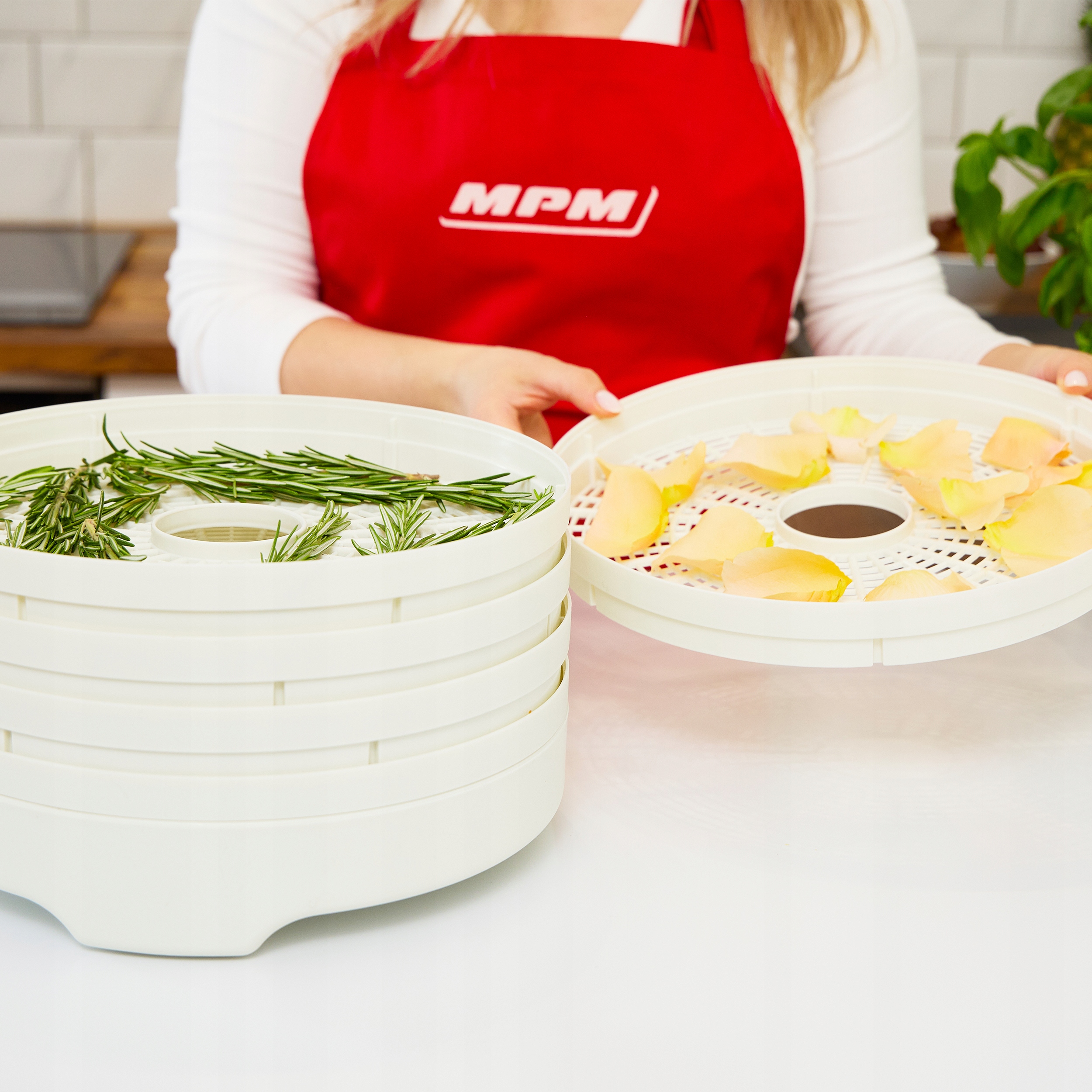 Suszarka do grzybów spożywcza MPM MSG-01 Model MSG-01