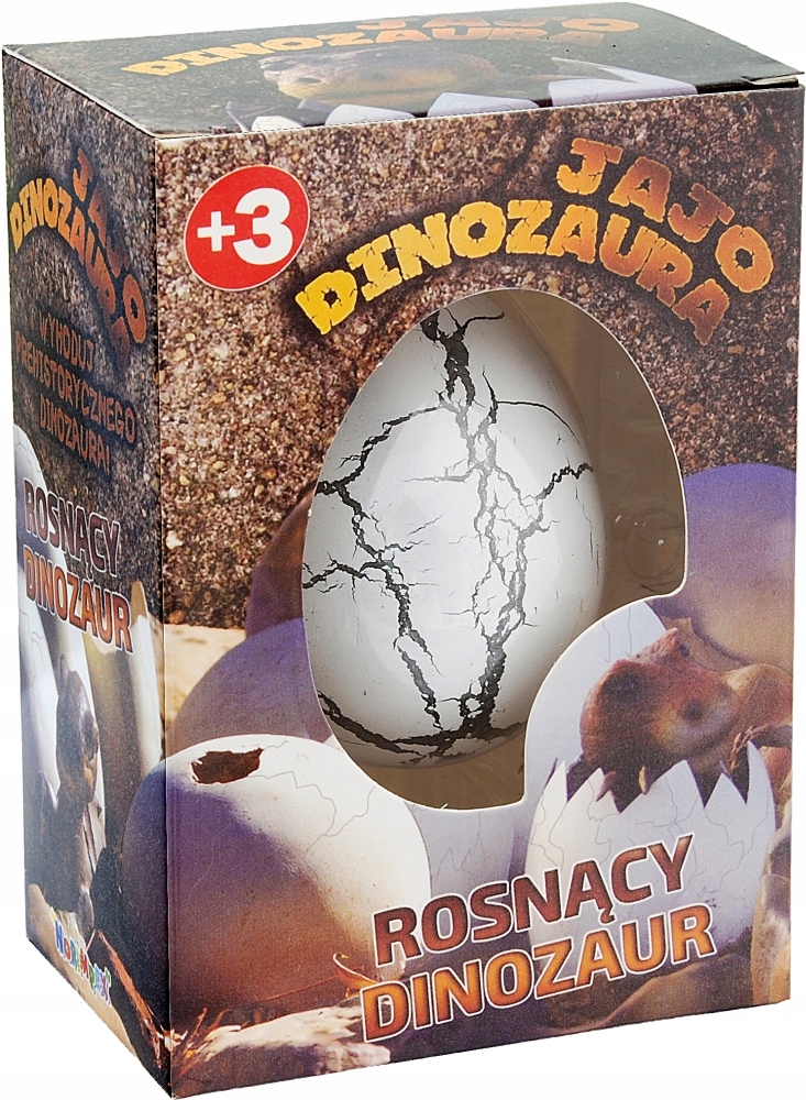 

Jajo Dinozaura Rosnący Dinozaur Jajku Wykluwający