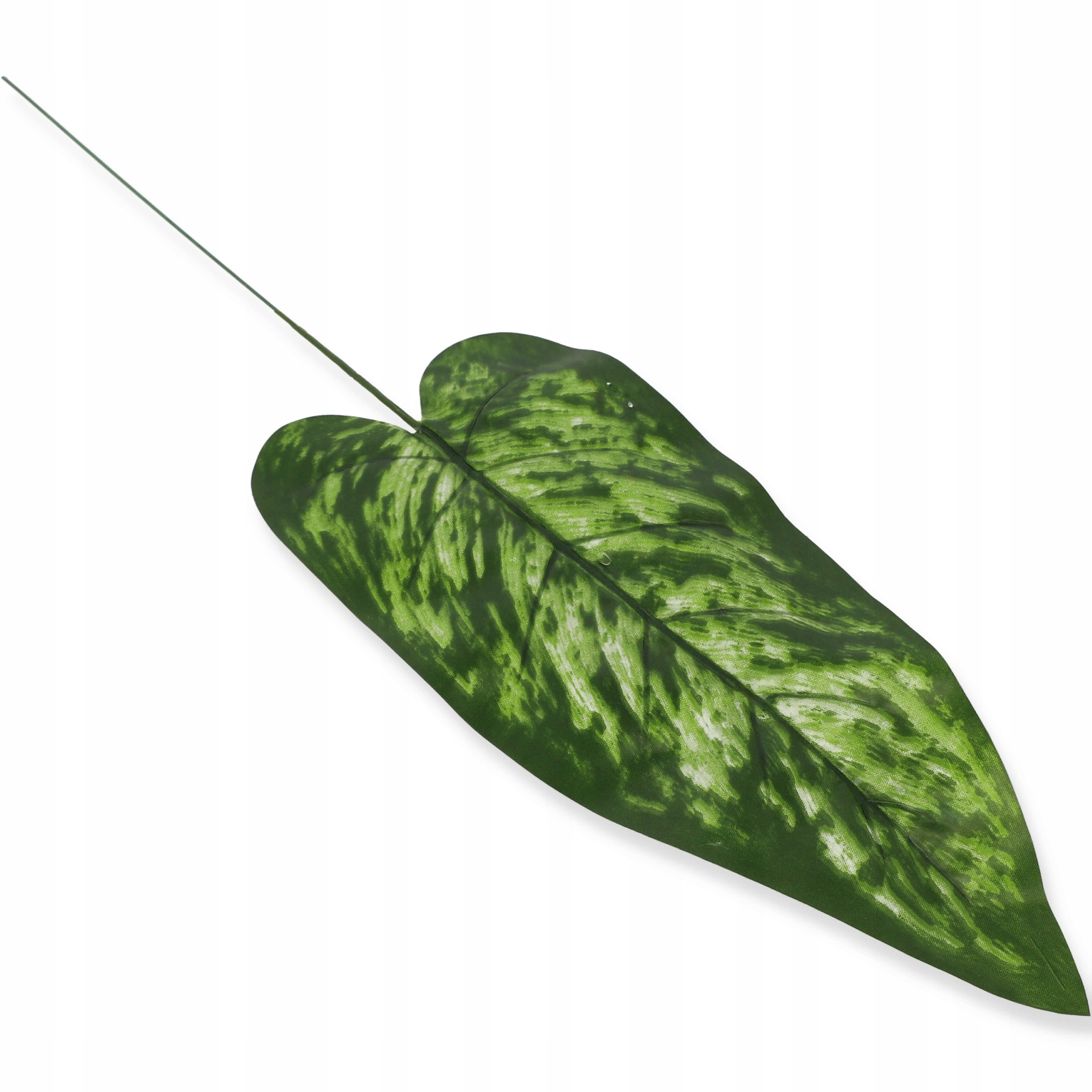

Liść difenbachia gumowy 51cm wiązanki