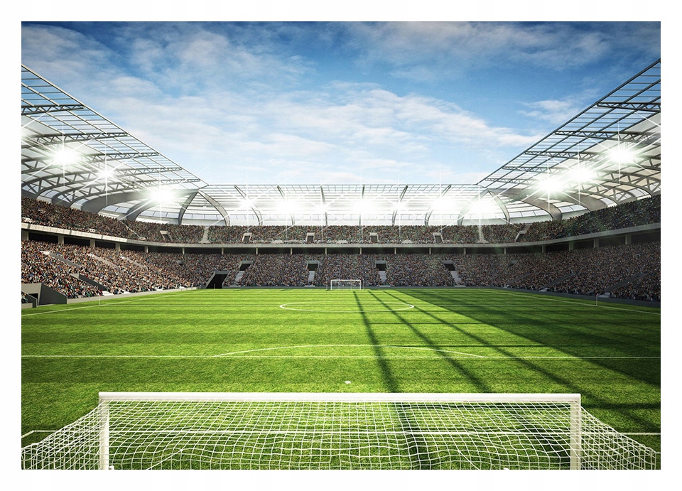 

Fototapeta 3D Piłka Nożna stadion 368x254 F00435