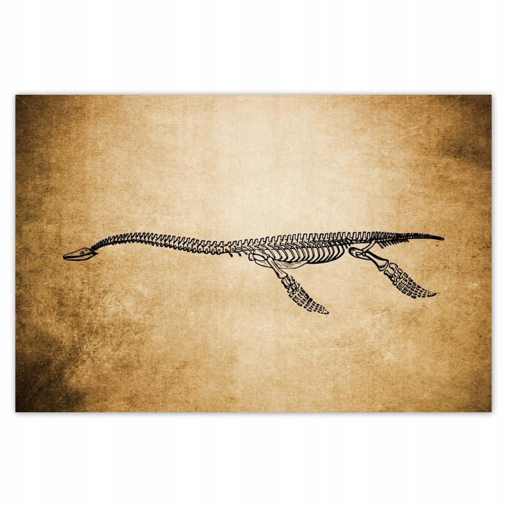 

Plakaty 60x40 Dinozaur Prehistoria Dino