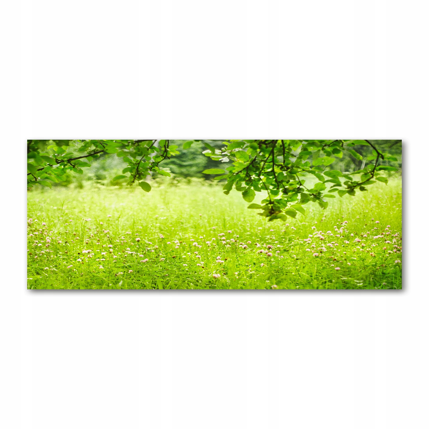 

Foto obraz akryl zdjęcie Zielona łąka 125x50 cm