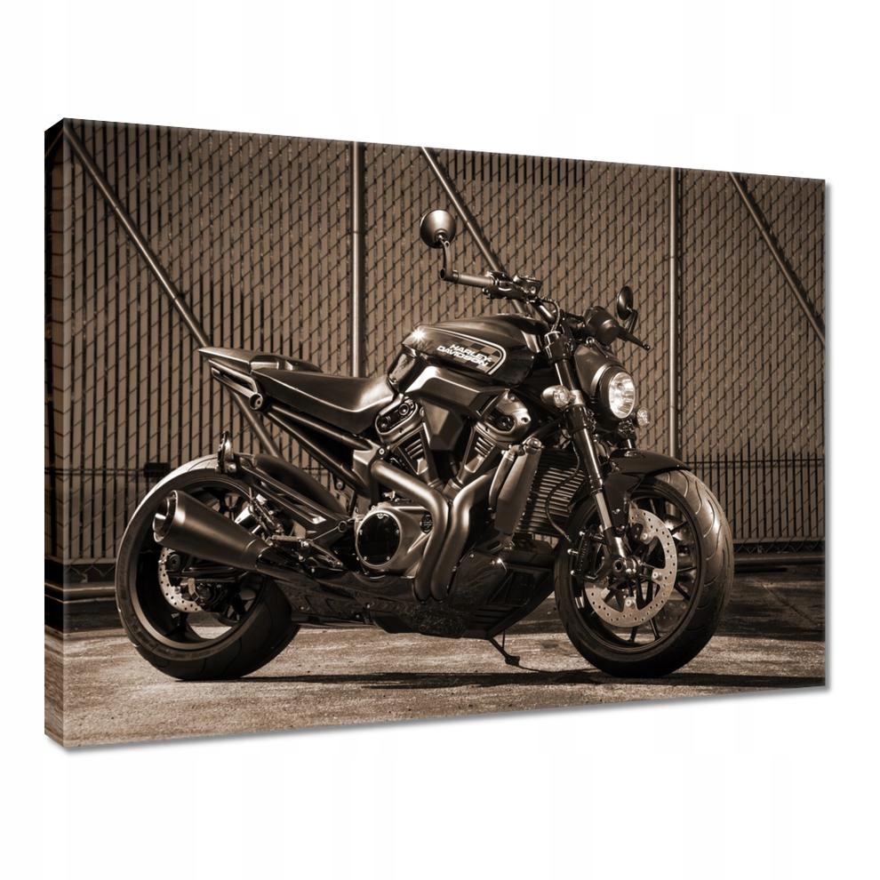 

Obrazy 40x30 Harley Davidson Motocykl