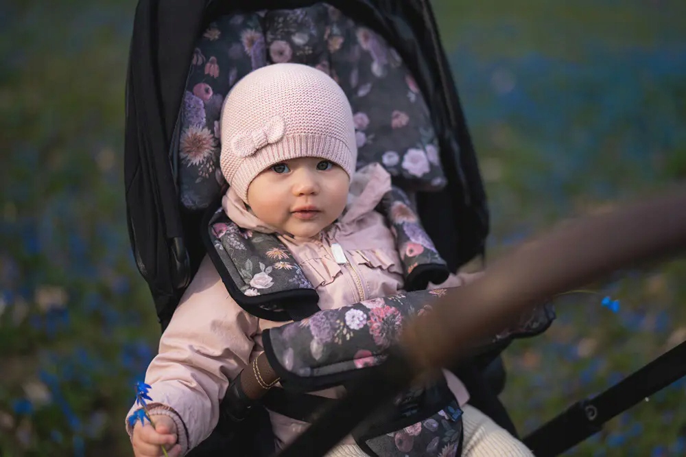 Osłonki na pasy do wózka - Ornithology