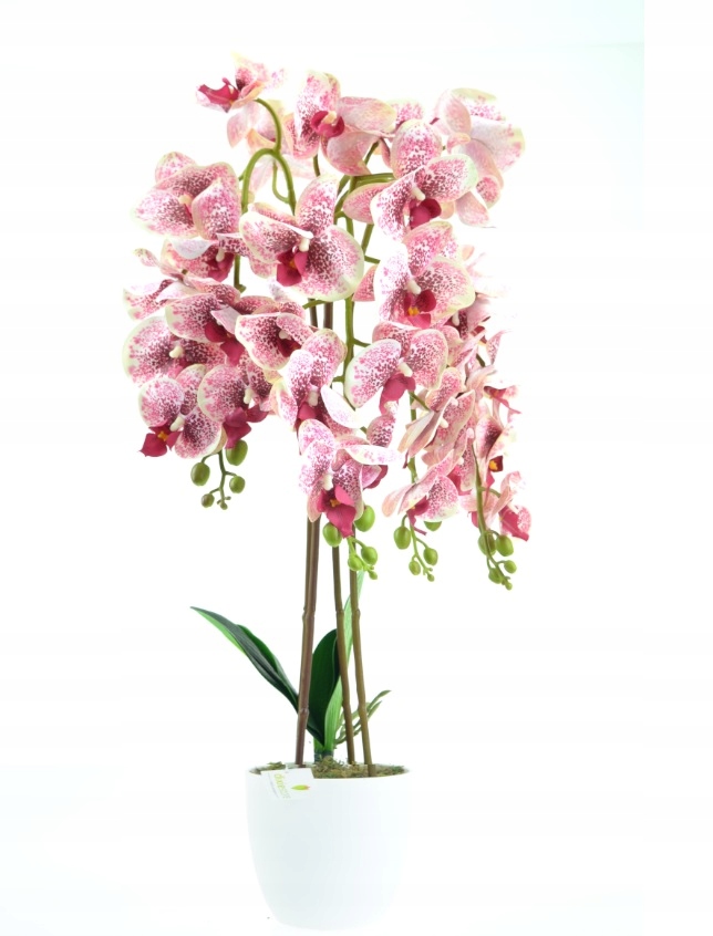 

Sztuczny Storczyk, orchidea, Kwiat ,różowy 70cm