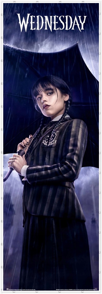 Plakat filmowy 53 x 158 cm (8435497295417) • Cena, Opinie