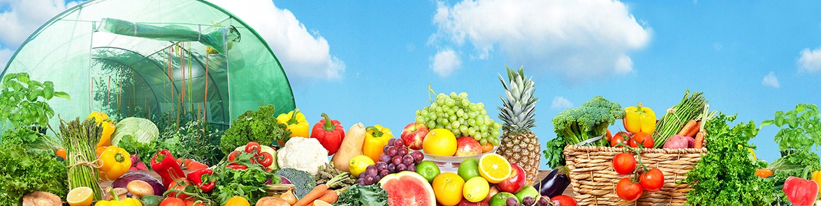 SZKLARNIA NA WARZYWA 2x3m TUNEL FOLIOWY Powierzchnia 6 m²