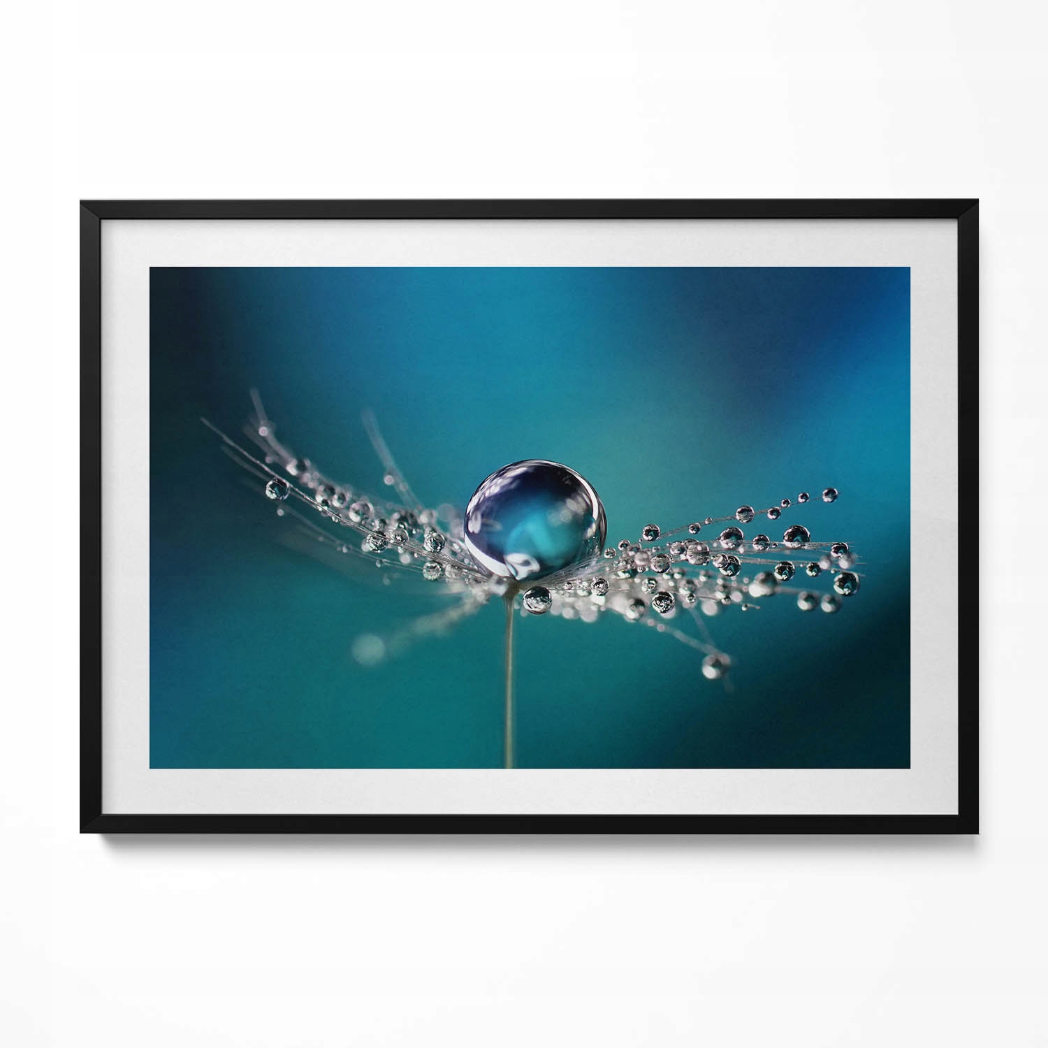 Dekorativní obraz s grafikou v krásném rámu Kapka rosy na dmychadle 100 x 70 cm