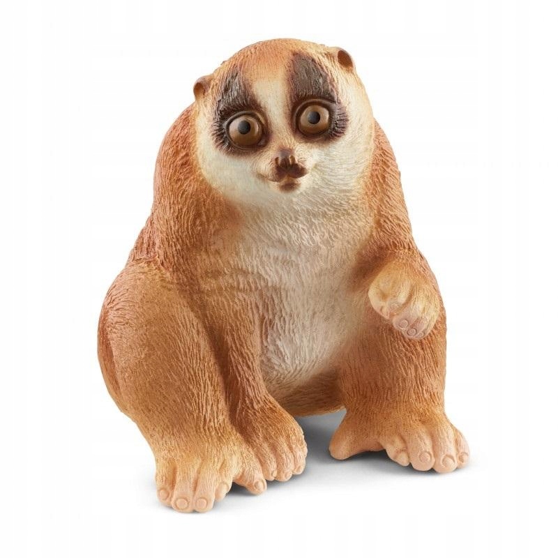 

Kukang