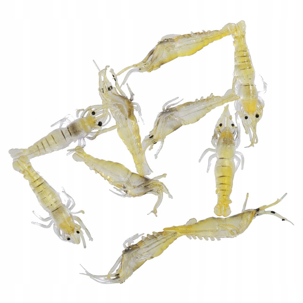 Przynęty wędkarskie Wędkarstwo Marka inna