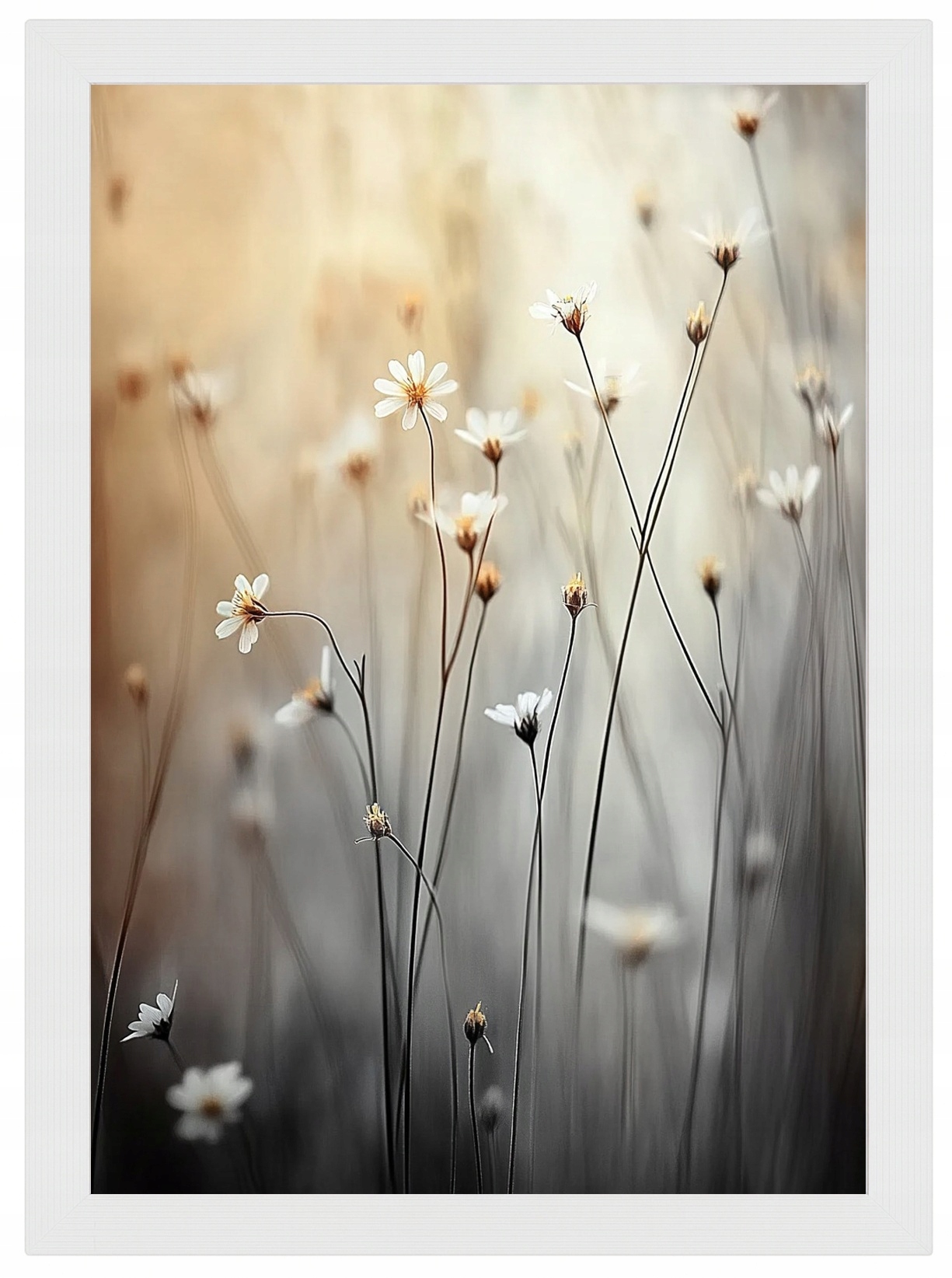 Plakát Rámeček Dřevo Ráno Louka Květiny Sedmikrásky Heřmánek Bokeh 70x100