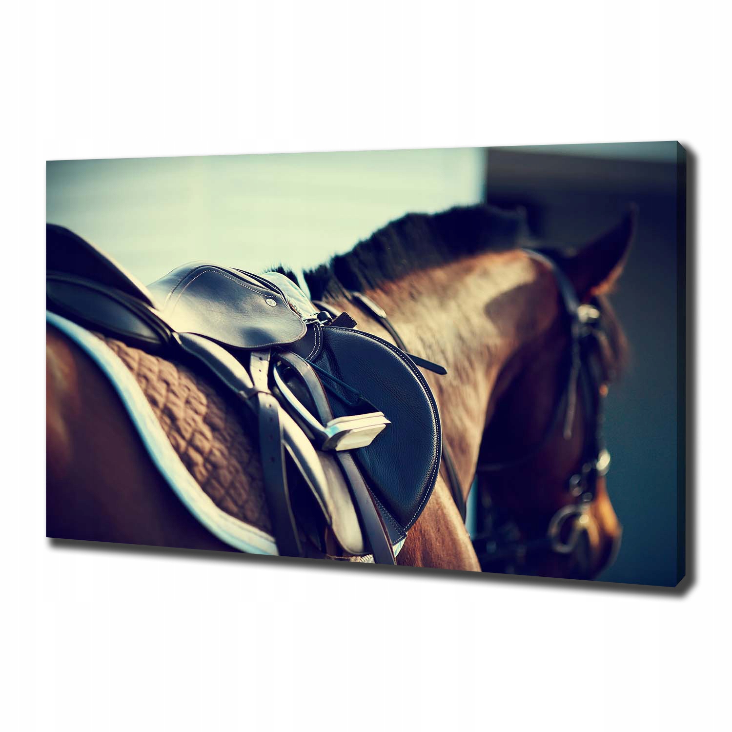 

Foto obraz canvas Siodło ze strzemionami 100x70 cm