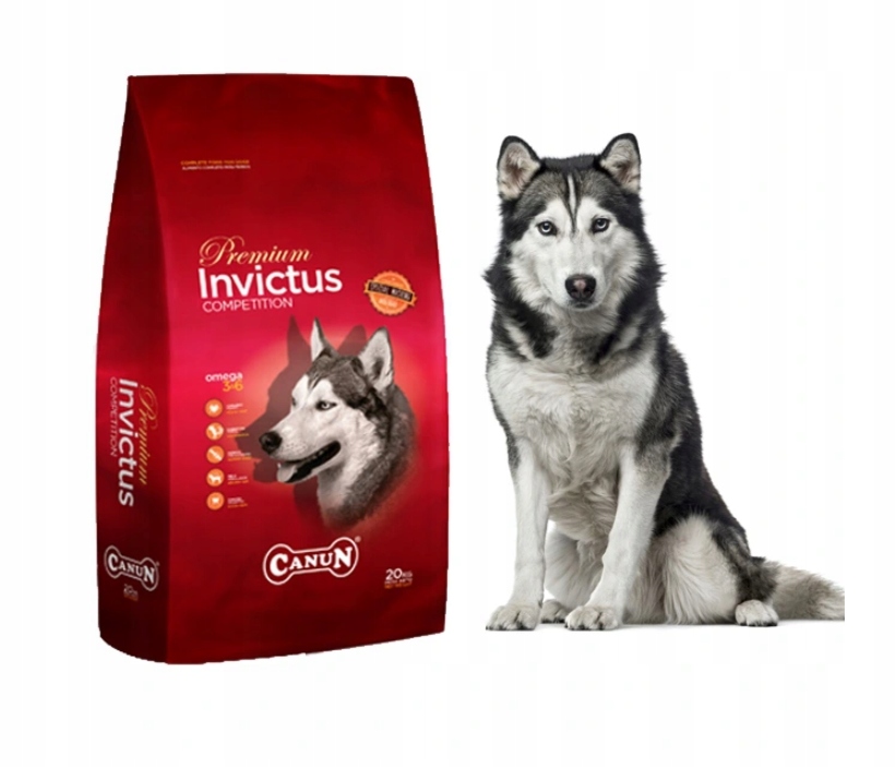 Karma dla psa Canun Invictus z jagnięciną 20 kg
