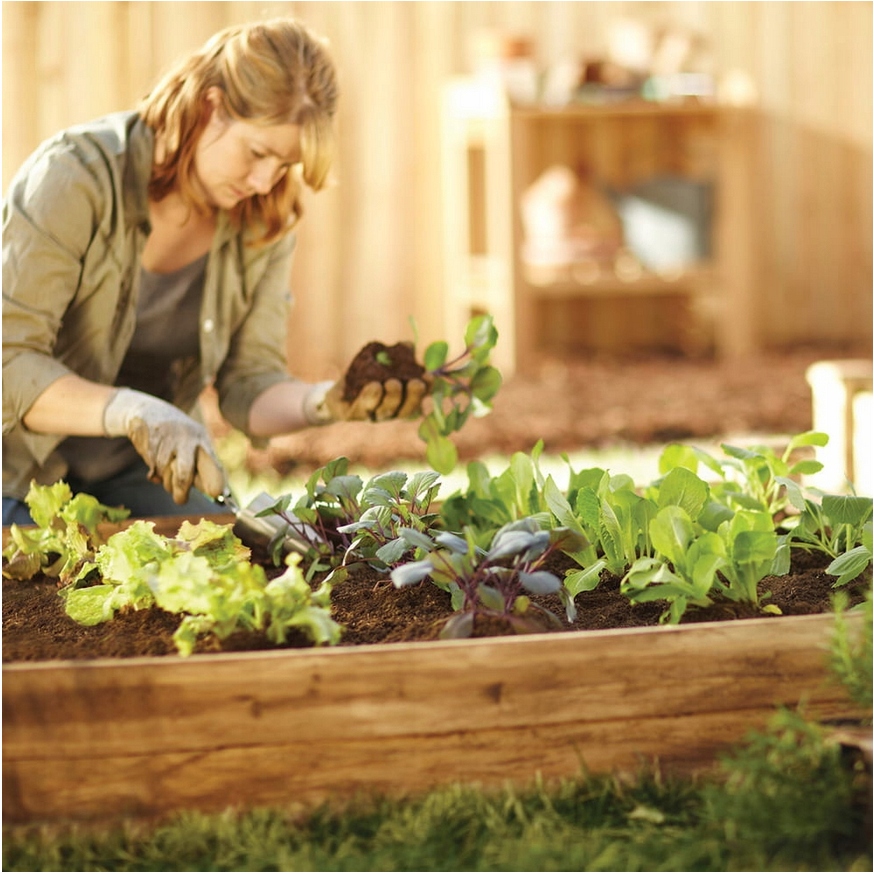Podwyższana Grządka IMPREGNOWANA Skrzynia 240x80cm Inspekt Rabata+ Poradnik Stan opakowania oryginalne
