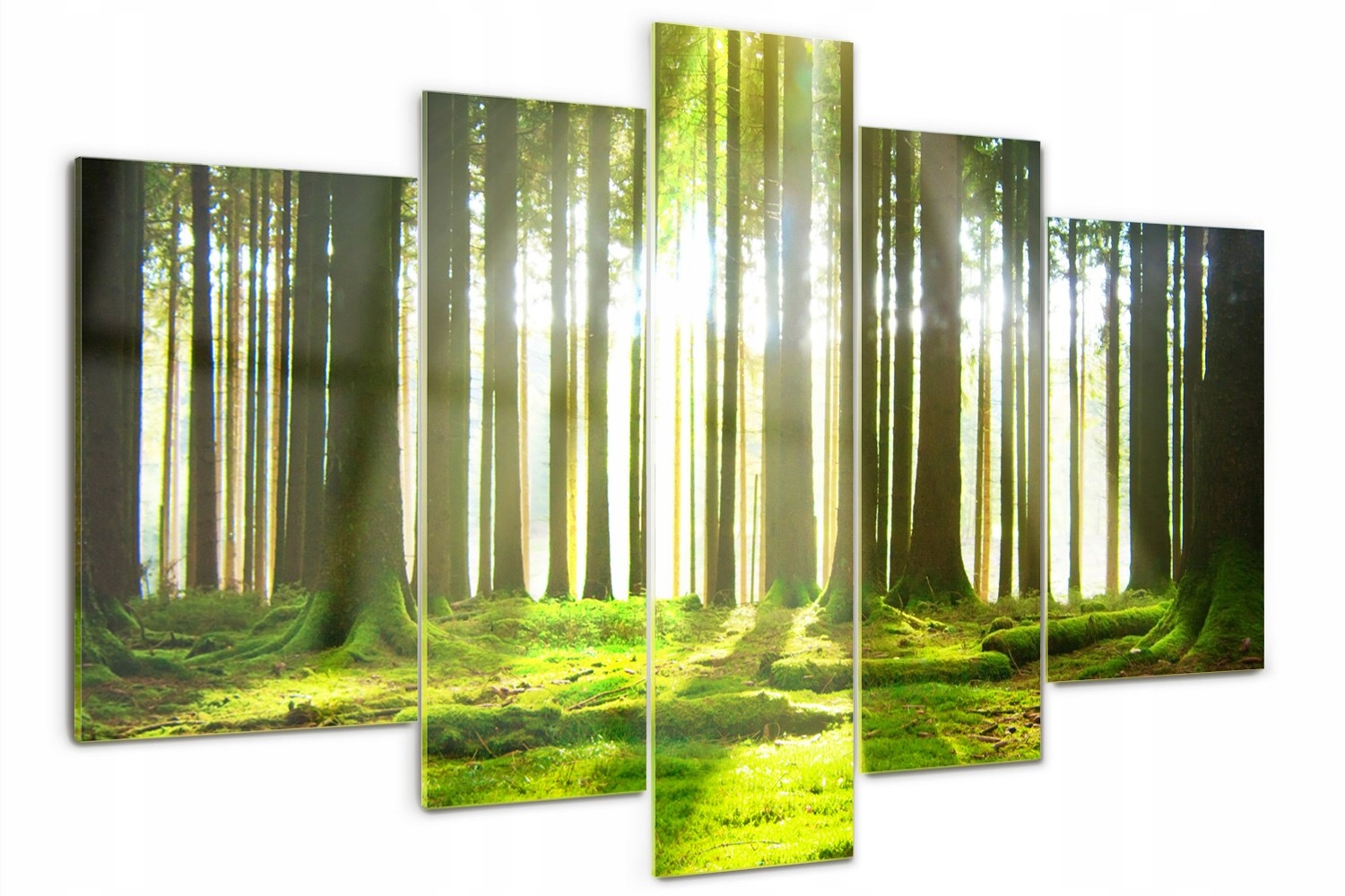 

Obraz szklany duży tryptyk na szkle Las w słońcu