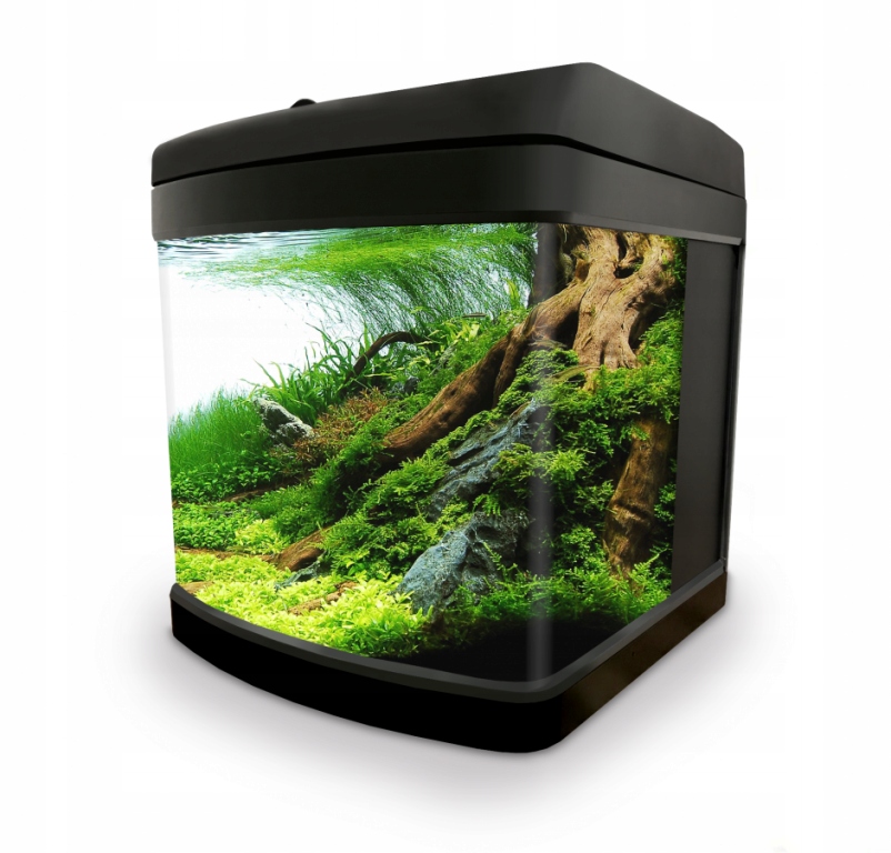 

Invital EasyTank Led 26L z tylną filtracją czarny